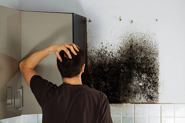 Best Residential Mold Remediation in Litchfield Beach, SC